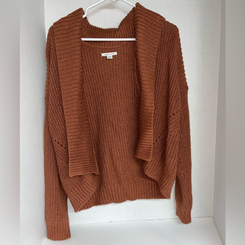 American Eagle Copper Sweater